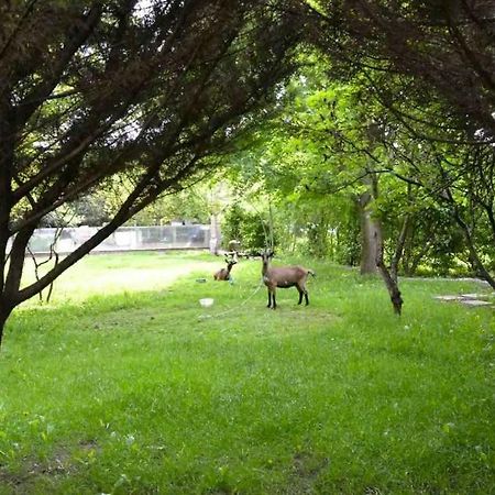Leleka Hostel Esbly Zewnętrze zdjęcie