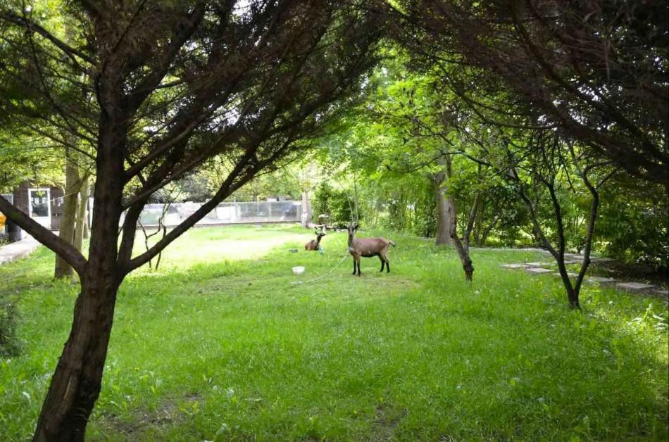 Leleka Hostel Esbly Zewnętrze zdjęcie
